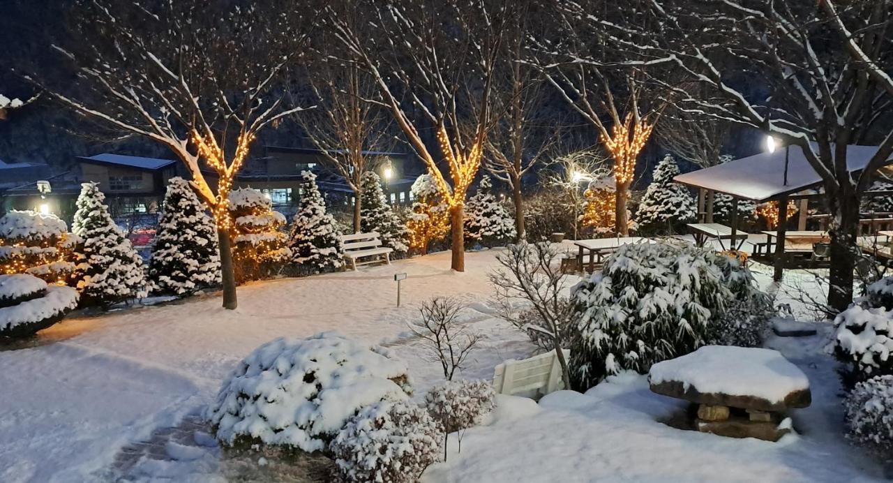 Chamjoeun Pension Chech'ŏn エクステリア 写真