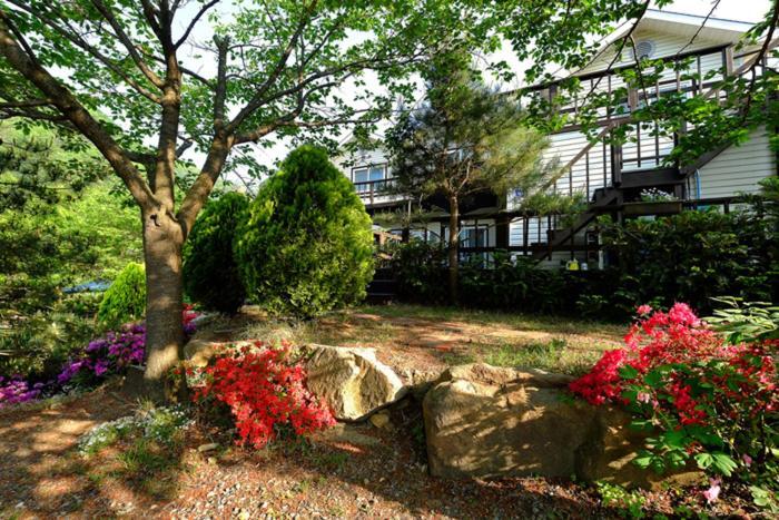 Chamjoeun Pension Chech'ŏn エクステリア 写真