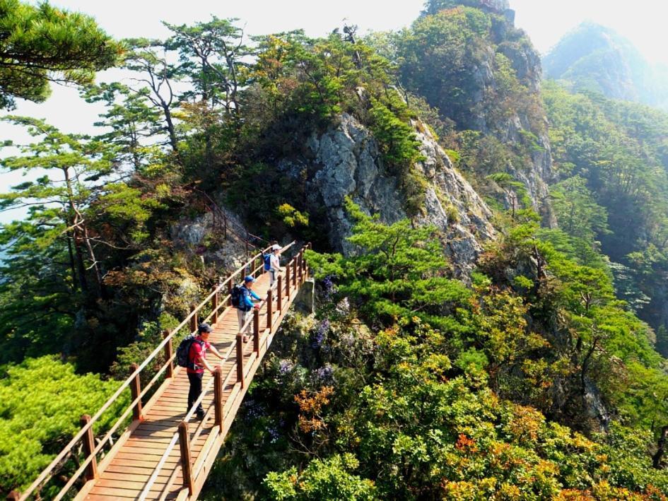 Chamjoeun Pension Chech'ŏn エクステリア 写真